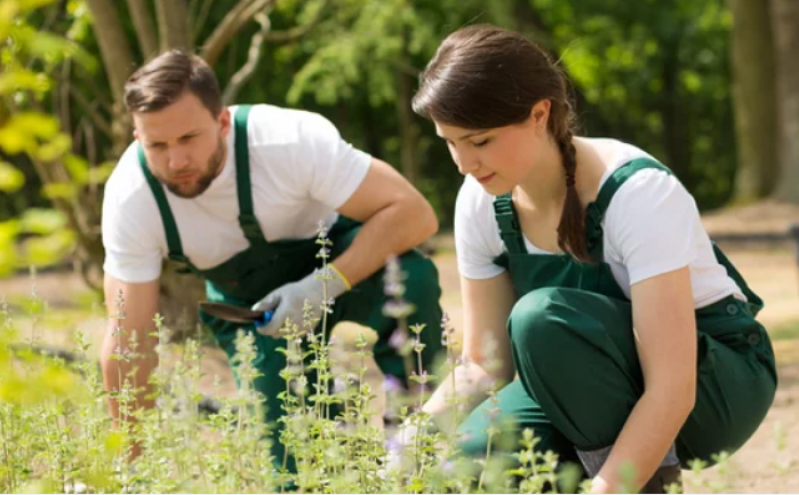 Curso de Jardinagem e Paisagismo Jardim Botânico - Curso Jardinagem e Paisagismo
