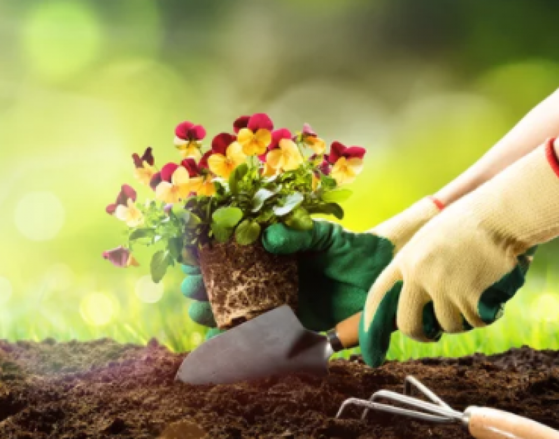 Empresa de Paisagismo e Jardinagem Contato Joá - Serviço de Jardinagem e Paisagismo