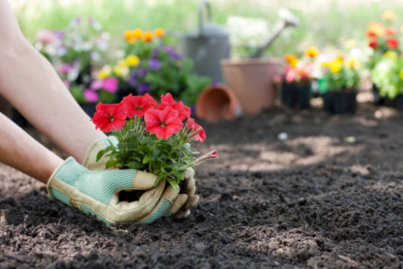 Empresa de Terceirização de Jardinagem Contato Recreio dos Bandeirantes - Empresa de Limpeza e Jardinagem