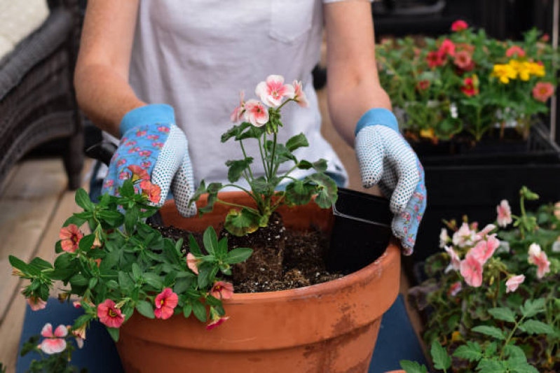 Empresa de Terceirização de Serviços de Jardinagem Contato Contato de Glória - Empresa de Limpeza e Jardinagem