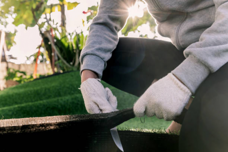 Grama Amendoim Preço Valor de Qual o Preço de Valor Ipanema - Grama Artificial para Jardim