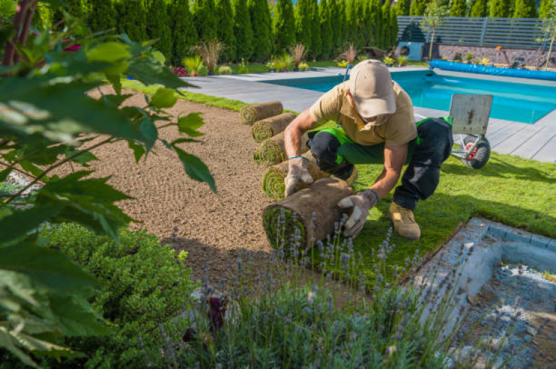 Grama Artificial para Jardim Preço Valor de Qual o Preço de Valor Zona Sul - Grama Sintética para Jardim