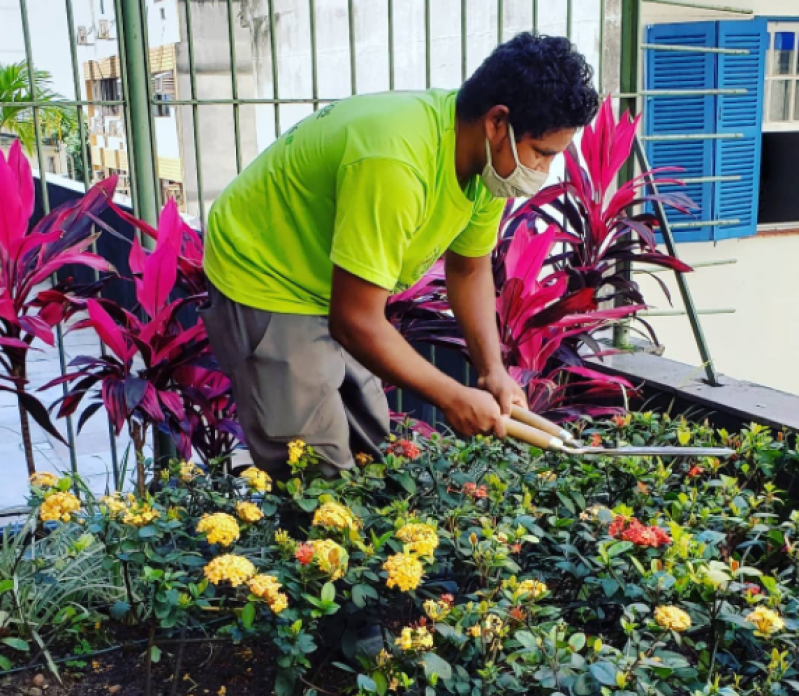 Manutenção de Jardins para Condomínio Freguesia de Jacarepaguá - Manutenção Jardim