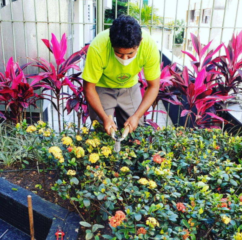 Onde Faz Manutenção de Jardim em Condomínio Ipanema - Empresa Manutenção de Jardim