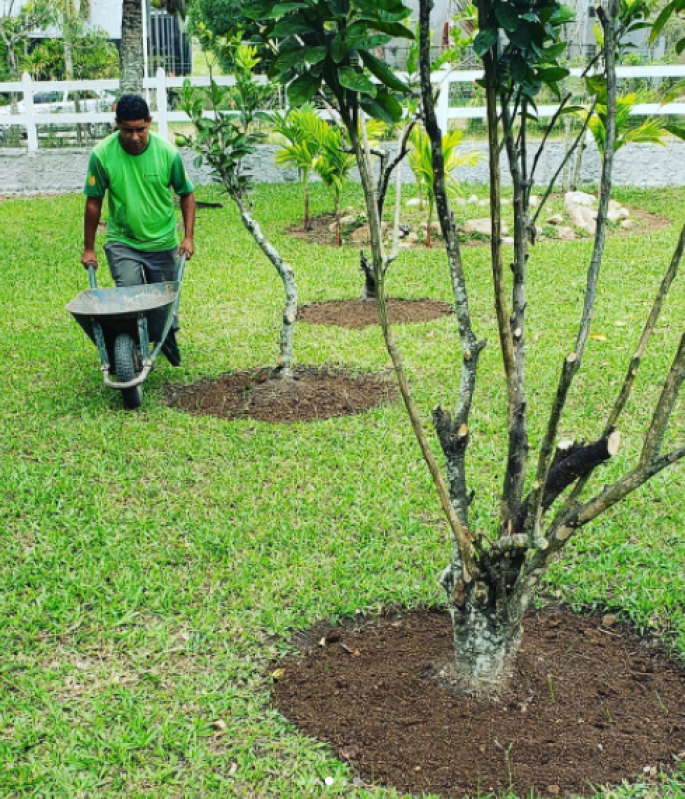Paisagismo e Jardinagem para Empresas Pedro do Rio - Paisagismo e Jardinagem em Espaço Pequeno