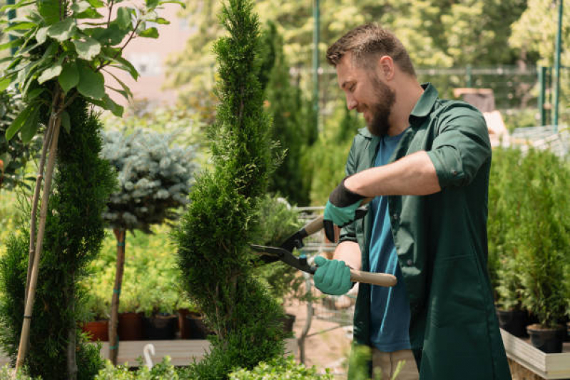 Poda de Jardim Externo Valor Valor de Empresa Que Faz Estácio - Podas em Jardins