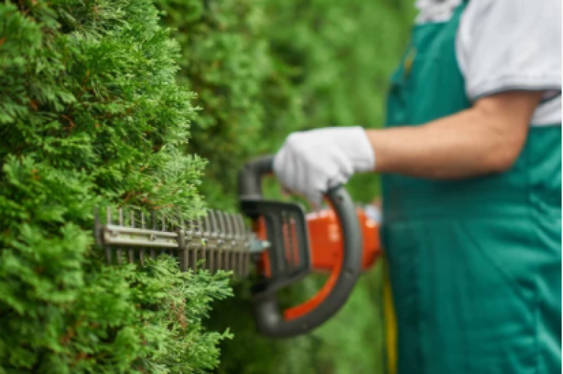 Preço de Serviço de Jardinagem para Condomínios Maracanã - Jardinagem e Paisagismo Empresa
