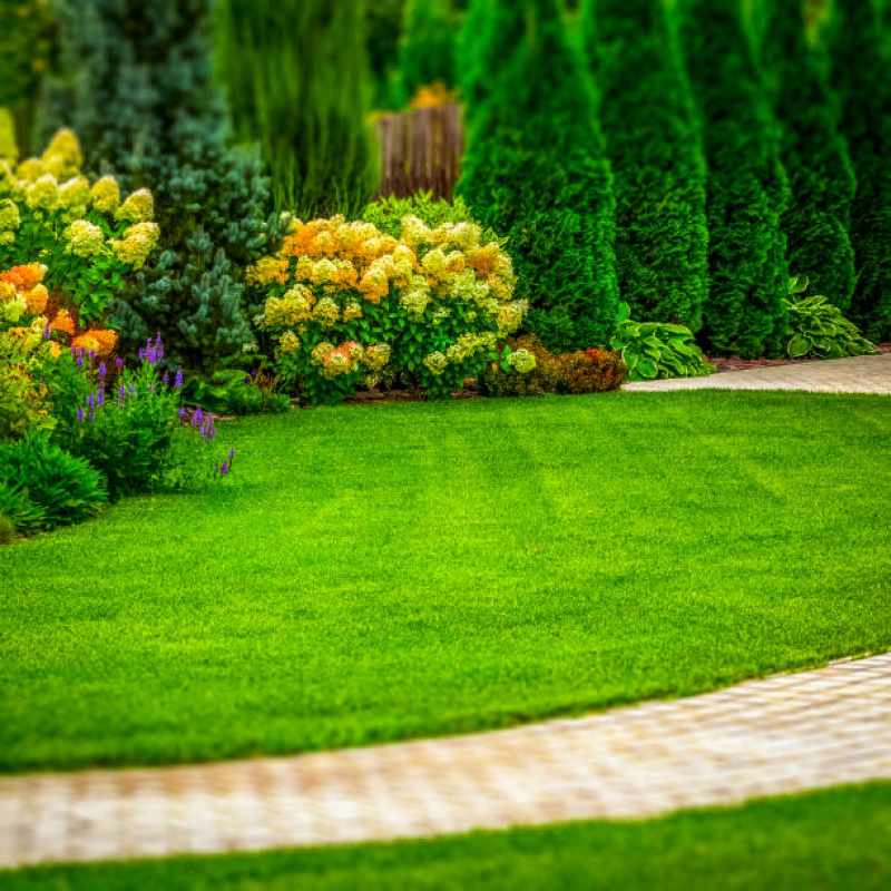 Reformas de Jardins Residenciais Preço Empresa Que Faz Preço de Valor Grumari - Reforma de Jardim Simples