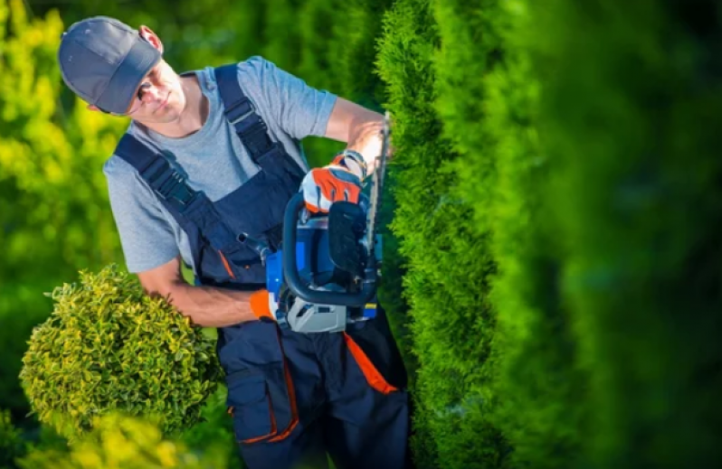 Serviço de Jardinagem para Condomínios Orçamento Laranjeiras - Empresa Jardinagem e Paisagismo