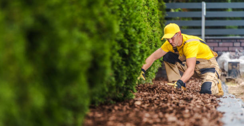 Serviço de Limpeza de Jardinagem Vale das Videiras - Serviço de Jardinagem para Empresas