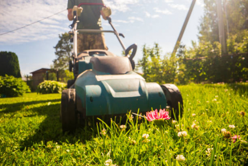 Serviços de Jardinagem em Condominios Valor Preço de Empresa Que Faz Preço Búzios - Serviço de Limpeza de Jardinagem