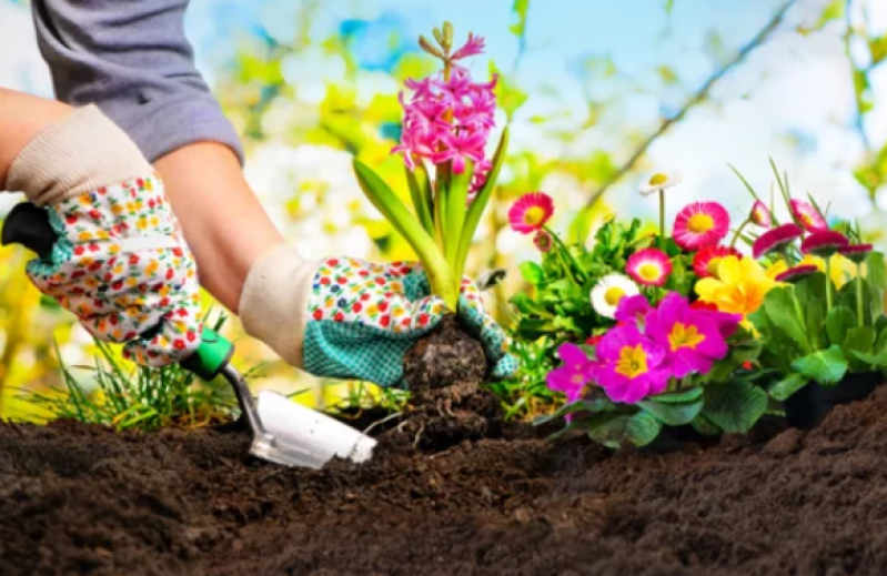 Serviços de Jardinagem em Condomínios São Domingos - Serviço de Jardinagem para Condomínios