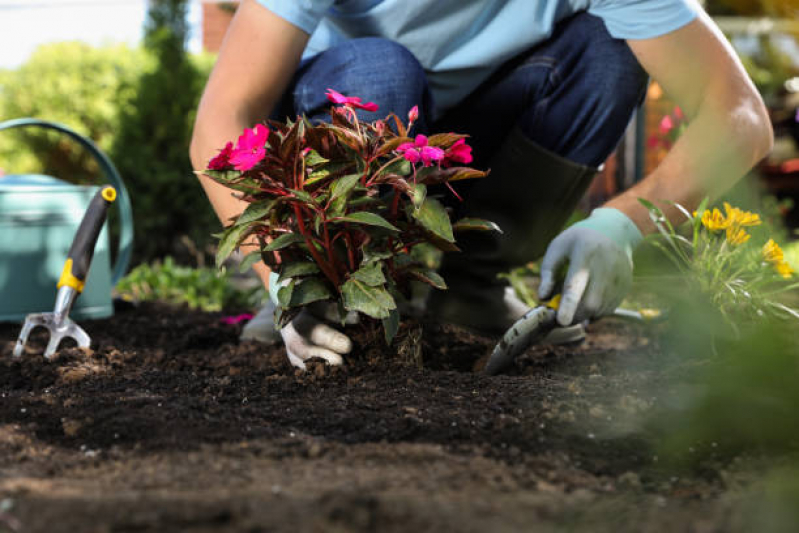 Serviços de Jardinagem para Condomínios Valor Vale das Videiras - Serviço de Jardinagem para Empresas
