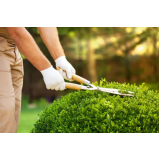 curso de jardinagem profissional orçamento Niterói