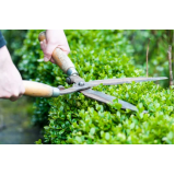 curso de jardinagem profissional valor Niterói