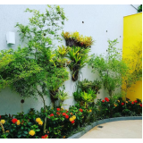 jardinagem e paisagismo cotação Rio Comprido