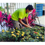 manutenção de jardins para condomínio Niterói