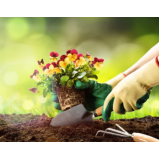 serviço de paisagismo e jardinagem cotação Glória