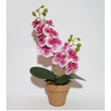vasos cachepot para orquídeas São Conrado