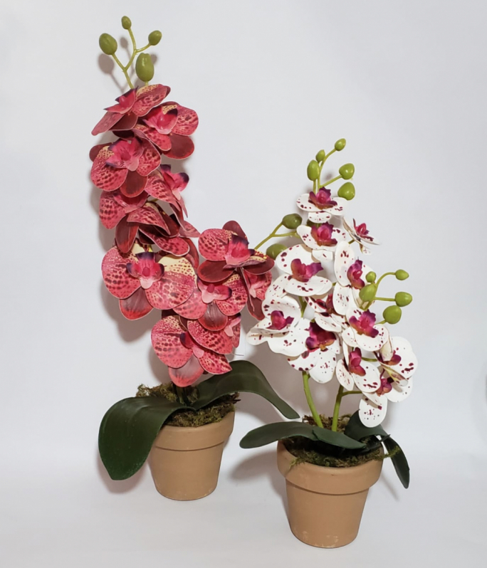 Vaso Cachepot para Orquídeas Cotar Grajaú - Vaso Cachepot de Vidro Espelhado