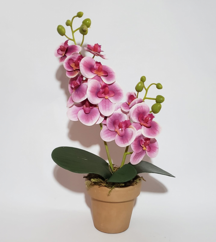 Vasos Cachepot para Orquídeas Vale das Videiras - Vaso Cachepot de Vidro Espelhado